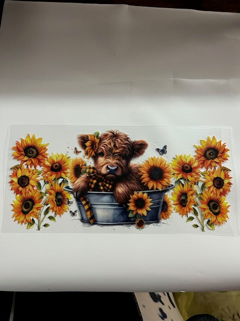 Yellow Sun Flowers and Cows
